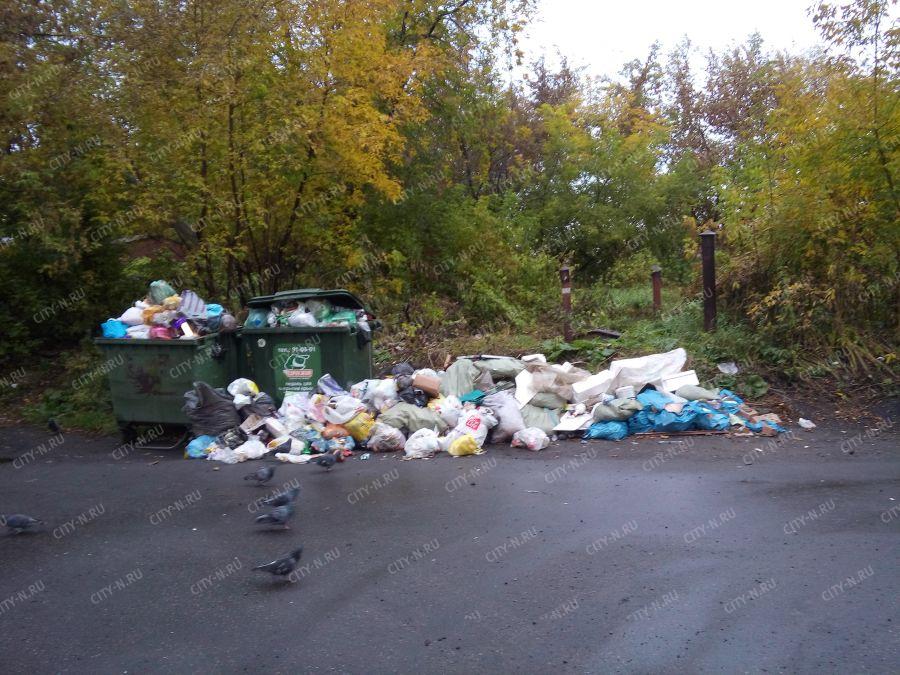 Куйбышевский Район Новокузнецк Фото
