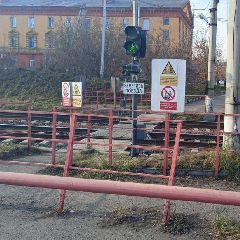          ()