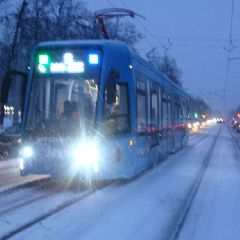 В Новокузнецке росгвардейцы нейтрализовали трамвайного матерщинника В Новокузнецке росгвардейцы нейтрализовали трамвайного матерщинника