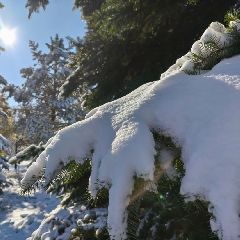 Из-за снегопада глава Новокузнецкого района попросил жителей расходовать электроэнергию только на первостепенные нужды Из-за снегопада глава Новокузнецкого района попросил жителей расходовать электроэнергию только на первостепенные нужды