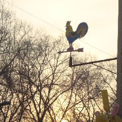 �� -5�� �� -25��: � ����������� � �������� ���-�� ����� �����, � ���-�� � �������