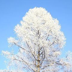 В Минобразовании Кузбасса рассказали, в какой мороз школьникам можно не идти на занятия В Минобразовании Кузбасса рассказали, в какой мороз школьникам можно не идти на занятия