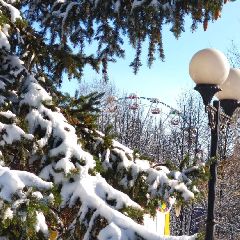 К выходным в Кузбассе ожидаются плюсовые температуры К выходным в Кузбассе ожидаются плюсовые температуры