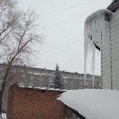 � �������� �� �������� ��������� �������� �����������, � ����� �����������