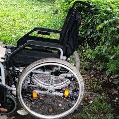 ����������� �� ���� �������� ������ �������� ���� ����� ���