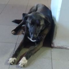 � ������ ����������� ����� ���������� ������ ������ � ������ ������ (����)