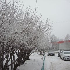 2 января в Кузбассе будет тепло и немного ветрено 2 января в Кузбассе будет тепло и немного ветрено