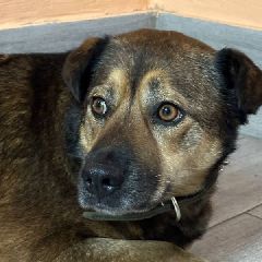 � ������ ��� ������� ������� ������� ������ � �������� (����)