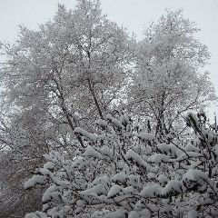 � �������� � ����������� �������� ������� ����������� � ��������� ������� �����