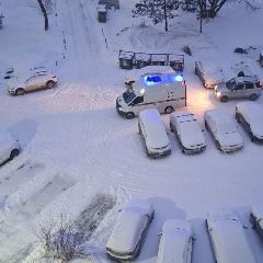 � ������������ �������� ������ ������ ����������� ������ �� ����� � �� ���� ���������� ���������� (����)