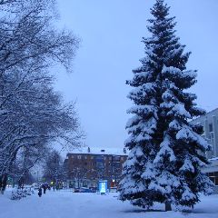 � �������� ����� ����� ������� ���� ��������� ��������� �����������