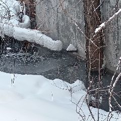 ������������� �������� �� ����������� ������ ������� �� ���������� ������� � �������� (����)