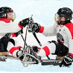 � ������������ ������ ������-����� �� �����-������ (�����)