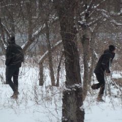 �� ���������� ��������� ��������� ������, ����������� � ��������� �������� �������� ��������� � �����, � �����������