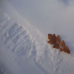 �� -7�� �� -24��: ���������� ��������� ���� �������������� ������� ������