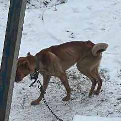 ������������� ������ ������ ������ ��� ����� � ����, ������� ������� ����� ������� � ������� (����)