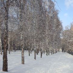 � �������� � ����������� ���� ��������� ����������� �� -7�� �� -26��