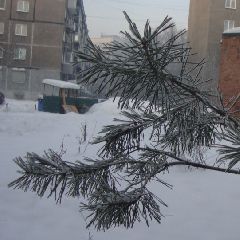 ����� ����� ������� � ������� ����������, �� ���� ����� ���������