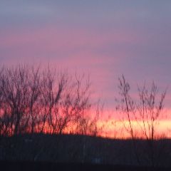 � �������� ��������� ����� �������� ������