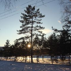 � �������� ��������� ����� �����������