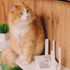 ��������� ���������� ���������� ����� ������: ��������� ��� ������ �� ���������?