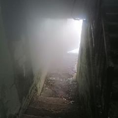 ������������� ����� � ����������� �������� � ���� �� ������� (����, �����)