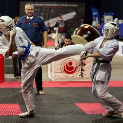 ������������� ��������� �������� ������� �� ������������� ������������ (����)