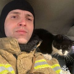 ���������� ��������� ������ ����� �� ���� ������������ (����)