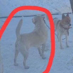 ������� ���� ��������� ������ � ������ ������� ��������� � ������� (����)