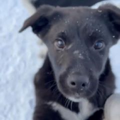 ����� ����� � ��� �� ��������. ������� ���� � ������ ��� ������ ��� (����)