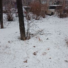 �������������� ����� ��������� ���������� �������� ������� � ������� � ������������� (�������������� ����)