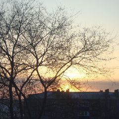 � �������� ��������� ������ ������ �� -43��