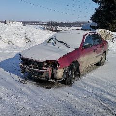 ������������ ���� ����� � ������ (����)