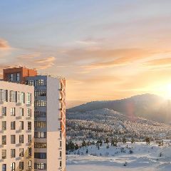 ���� �����, ���� ������: ���������� ������-���� � �������� ���������� ���������� �� ���� ������