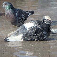 � �������� ������ � ������� ����� �������� ������