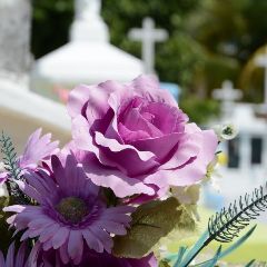 ��� ���������� �������� ���������� � ����� ������ ����������