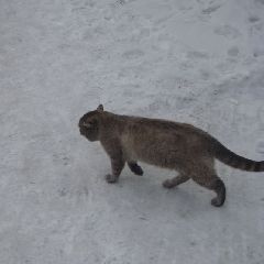 � �������� ��������� ������� ������ � ��������� �������������