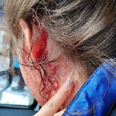 ���������� ������ ������ �������� ������, ������� �� ����� � ���������������, ������� ���������� ������� ����� (����)