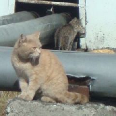 � �������� ��������� ��� ���� ����� ����� ����� ������������