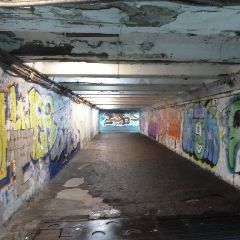 ��������� ���������� �������� � ������������ � ������ ����������� �� ������������� ���� (����)