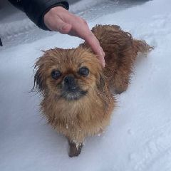 � ������ ������ ���� ������ ������� (����)