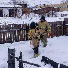 ���������� �������� ������ ������, ���������� � ������ (����)