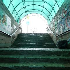 ������ ������������ ��������� ����������� ��������� ��������� ������� � ������ (����)