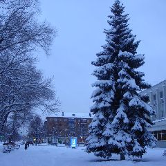 � �������� �� �������� ��������� �������� �����������, ������ � ����������