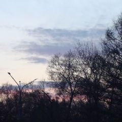 � ����������� � �������� ��������� ������� ����� � ��������� �����������