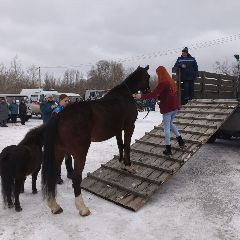 � ������������ �� ��������� ������������ ����� � �������� (����, �����)