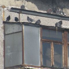 � ��������� ��� � �������� ��������� �������� ����������� � ���������� �����