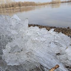 ����� � ������������ ����� �������� ������� (�����)