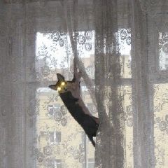 � �������� ������ ����� �������������� ������, ��� ������� ������� ������