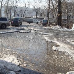 � �������� ��������� ����� ������